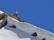 06 La Madonnina del GEM spunta dalle cornici di neve sulla cima del Pietra Quadra (2356 m)